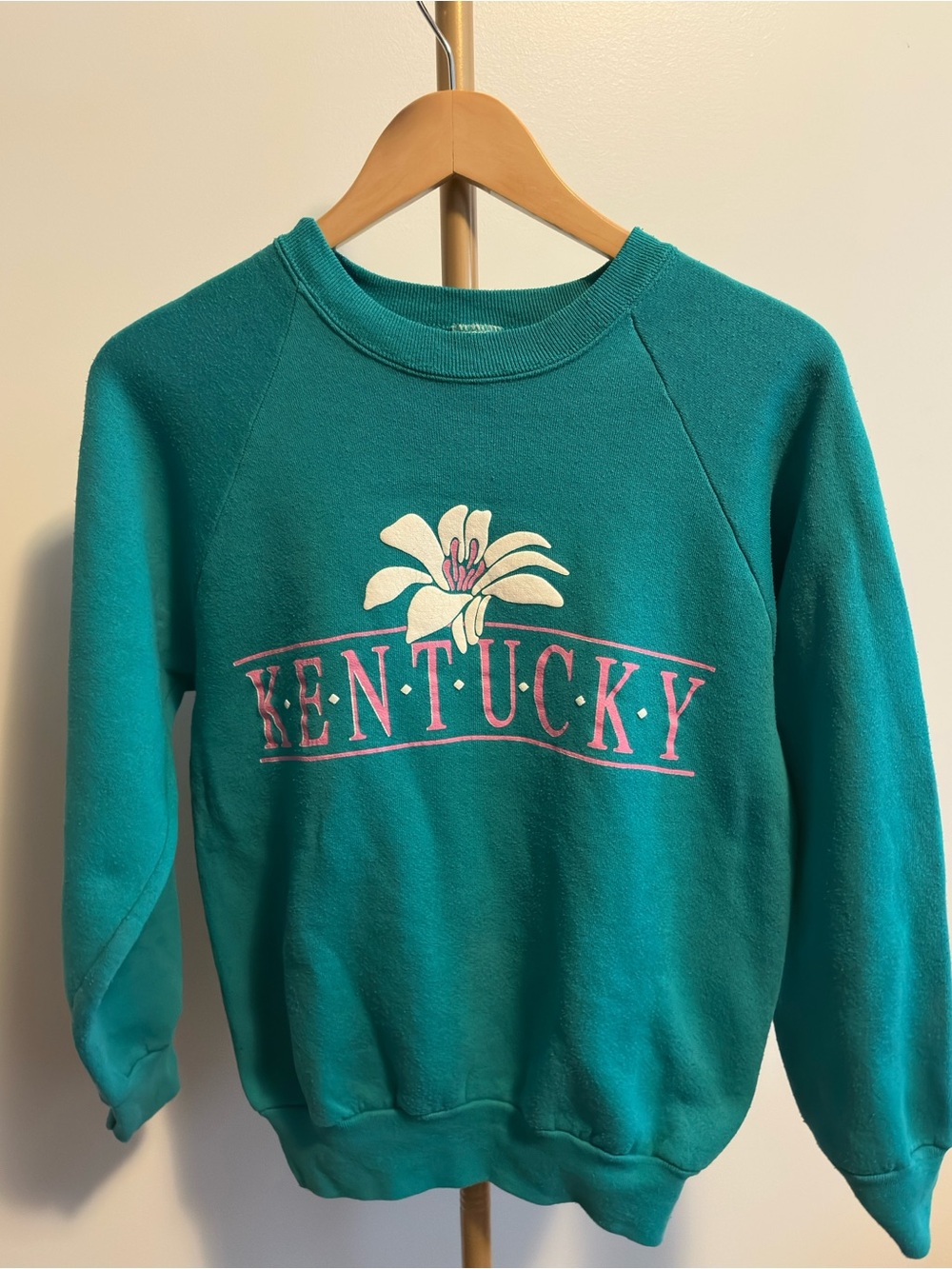 Vintage Kentucky Floral Sweatshirt Fruit of the Loom M Green Graphic